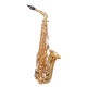 WAXWING AS100 dark gold lacquer Eb alto saxophone professional with hard case WAXWING AS100 dark gold lacquer Eb alto saxophone professional with hard case