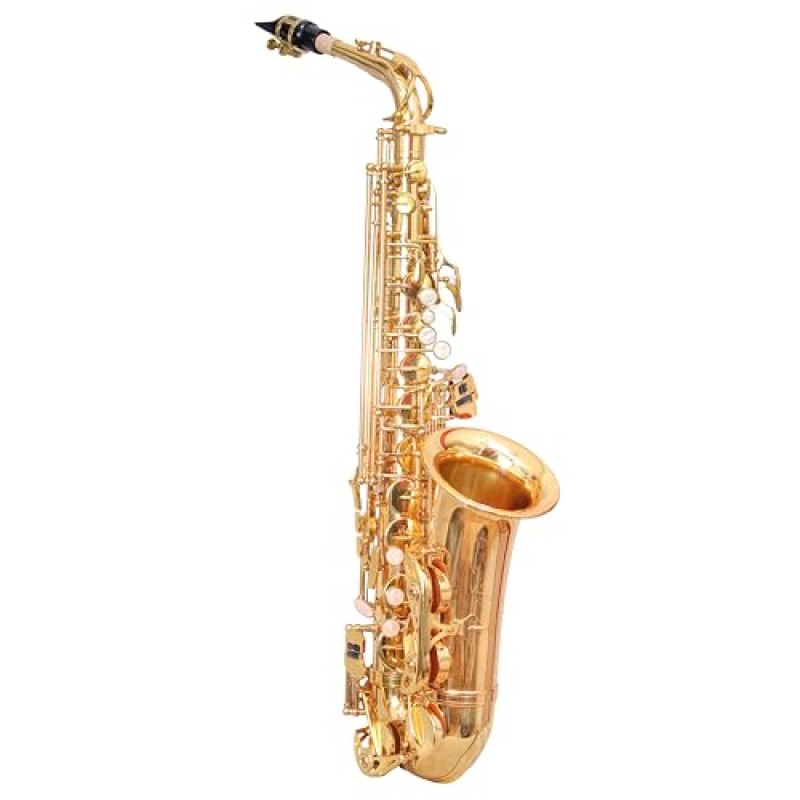 WAXWING AS100 dark gold lacquer Eb alto saxophone professional with hard case WAXWING AS100 dark gold lacquer Eb alto saxophone professional with hard case