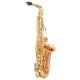 WAXWING AS100 dark gold lacquer Eb alto saxophone professional with hard case WAXWING AS100 dark gold lacquer Eb alto saxophone professional with hard case