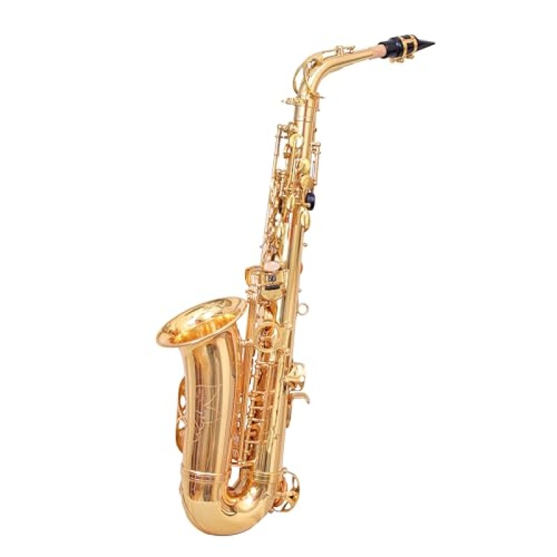 WAXWING AS100 dark gold lacquer Eb alto saxophone professional with hard case WAXWING AS100 dark gold lacquer Eb alto saxophone professional with hard case
