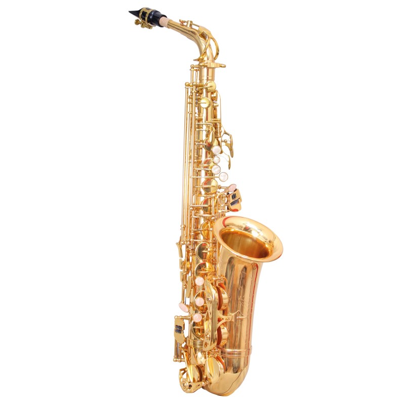WAXWING ALTO WAS502G SAXOPHONE Eb GOLD LACQUER WITH CASE PROFESSIONAL sound