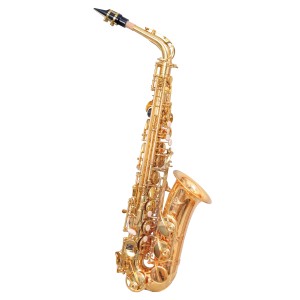 Waxwing alto Saxophone Eb gold lacquer was100g with case sound professional