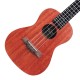 Professional Concert Ukulele, Mahogany Wood Body, 4 String, Black Fretboard