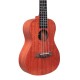 Professional Concert Ukulele, Mahogany Wood Body, 4 String, Black Fretboard