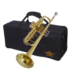 Professional Bb Trumpet, Brass Body, Chrome-Plated Mouthpiece, Gold Lacquer Finish