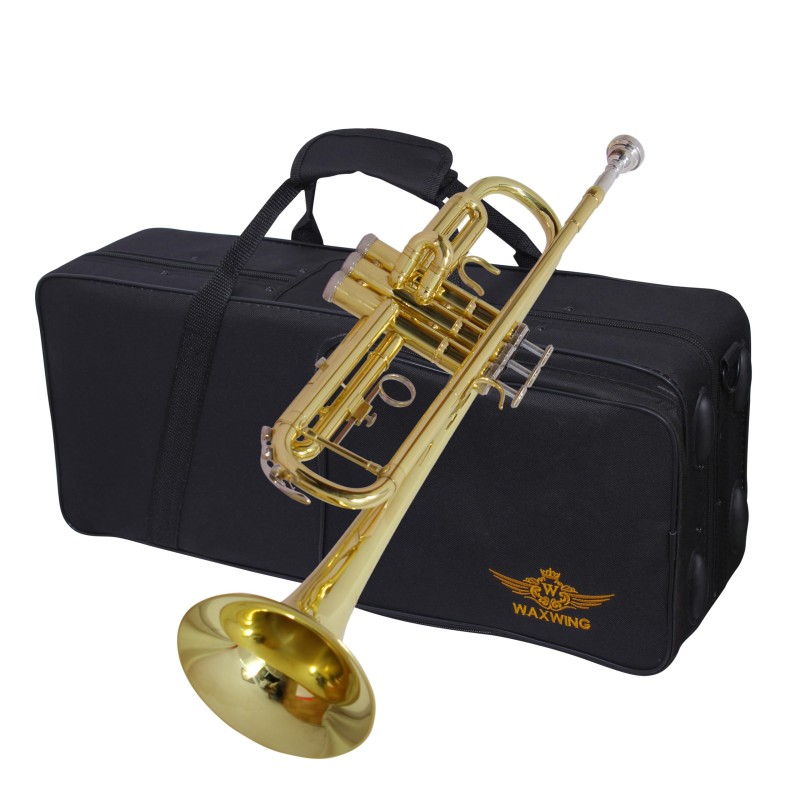 Professional Bb Trumpet, Brass Body, Chrome-Plated Mouthpiece, Gold Lacquer Finish