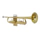 Professional Bb Trumpet, Brass Body, Chrome-Plated Mouthpiece, Gold Lacquer Finish