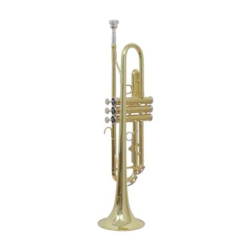 Professional Bb Trumpet, Brass Body, Chrome-Plated Mouthpiece, Gold Lacquer Finish