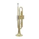Professional Bb Trumpet, Brass Body, Chrome-Plated Mouthpiece, Gold Lacquer Finish