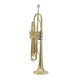 Professional Bb Trumpet, Brass Body, Chrome-Plated Mouthpiece, Gold Lacquer Finish
