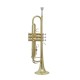 Professional Bb Trumpet, Brass Body, Chrome-Plated Mouthpiece, Gold Lacquer Finish