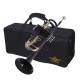 WAXWING trumpet Bb imported sound quality good with hard case (black) WAXWING trumpet Bb imported sound quality good with hard case (black)