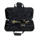 WAXWING trumpet Bb imported sound quality good with hard case (black) WAXWING trumpet Bb imported sound quality good with hard case (black)