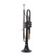 WAXWING trumpet Bb imported sound quality good with hard case (black) WAXWING trumpet Bb imported sound quality good with hard case (black)
