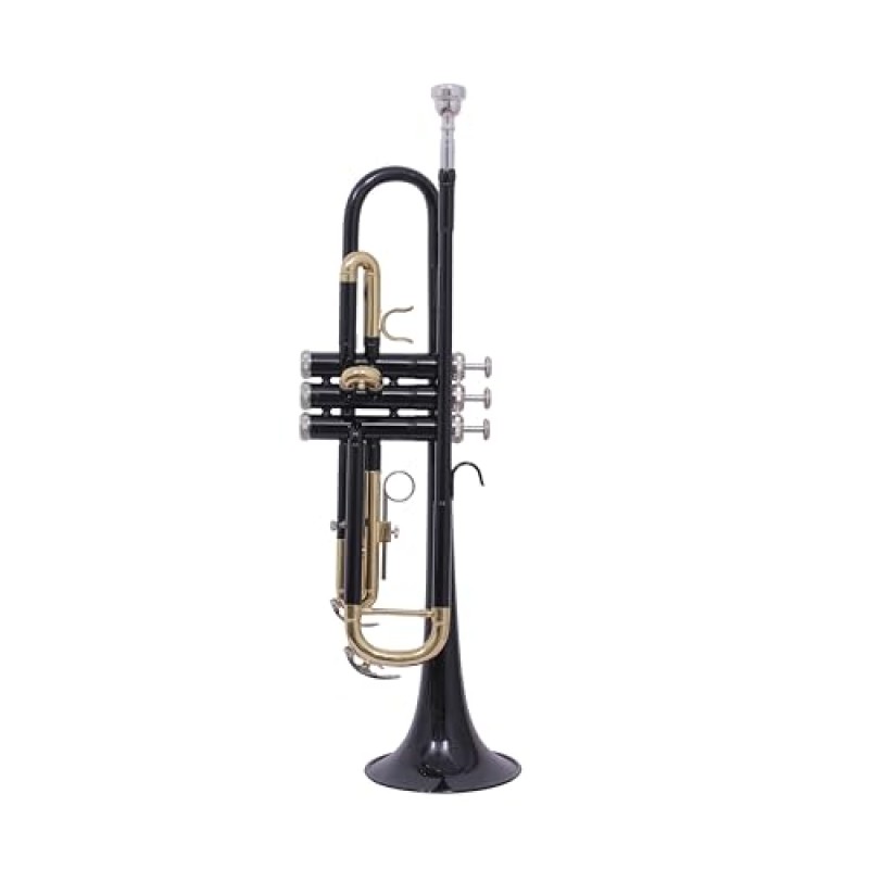WAXWING trumpet Bb imported sound quality good with hard case (black) WAXWING trumpet Bb imported sound quality good with hard case (black)