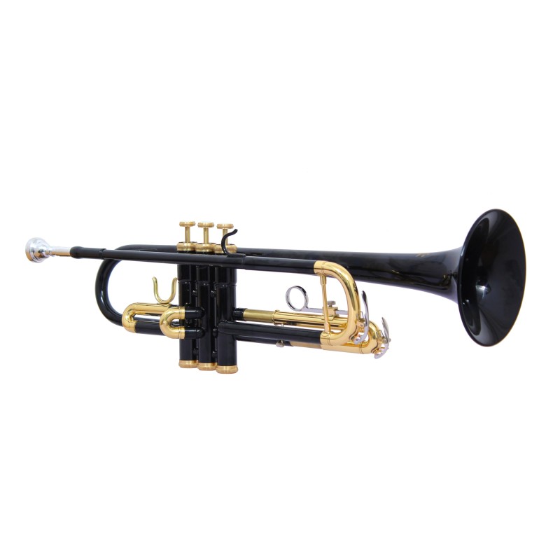 WAXWING trumpet Bb imported sound quality good with hard case (black) WAXWING trumpet Bb imported sound quality good with hard case (black)