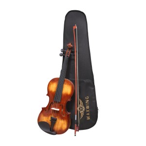 Waxwing professional Violin 4/4 with Bow and Carrying Case, Natural Wood glossy Finish