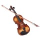 Waxwing professional Violin 4/4 with Bow and Carrying Case, Natural Wood glossy Finish