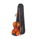 Waxwing 4/4 Full Size Violin with Bow and Carrying Case, Natural Wood glossy Finish