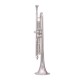Waxwing india Professional Bb Trumpet, Silver-Plated Brass, Standard Size with 3 Valves with imported oil gloves cleaning kit hard case Waxwing india Professional Bb Trumpet, Silver-Plated Brass, Standard Size with 3 Valves with imported oil gloves cleaning kit hard case