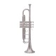 Waxwing india Professional Bb Trumpet, Silver-Plated Brass, Standard Size with 3 Valves with imported oil gloves cleaning kit hard case Waxwing india Professional Bb Trumpet, Silver-Plated Brass, Standard Size with 3 Valves with imported oil gloves cleaning kit hard case