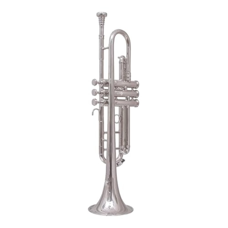 Waxwing india Professional Bb Trumpet, Silver-Plated Brass, Standard Size with 3 Valves with imported oil gloves cleaning kit hard case Waxwing india Professional Bb Trumpet, Silver-Plated Brass, Standard Size with 3 Valves with imported oil gloves cleaning kit hard case