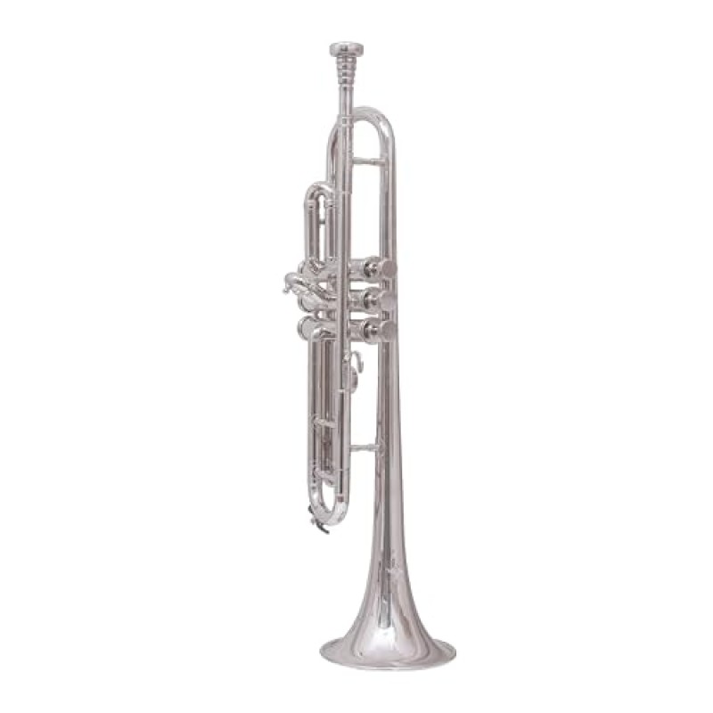 Waxwing india Professional Bb Trumpet, Silver-Plated Brass, Standard Size with 3 Valves with imported oil gloves cleaning kit hard case Waxwing india Professional Bb Trumpet, Silver-Plated Brass, Standard Size with 3 Valves with imported oil gloves cleaning kit hard case