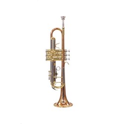 Professional Bb Trumpet Rose Gold and Silver Finish, Standard Orchestral Instrument